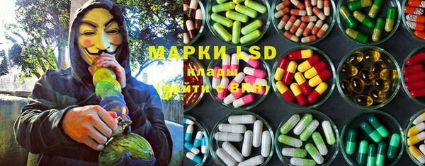 PSILOCYBIN Аркадак