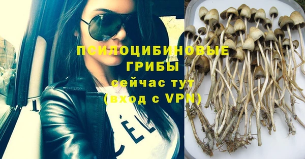 прущая мука Армянск