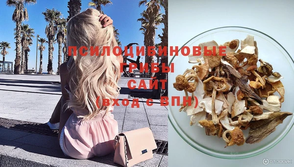 PSILOCYBIN Аркадак