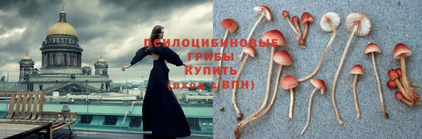 PSILOCYBIN Аркадак