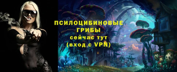 PSILOCYBIN Аркадак