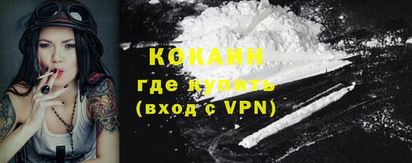 PSILOCYBIN Аркадак