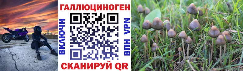 Псилоцибиновые грибы прущие грибы  купить закладку  Нижняя Тура 